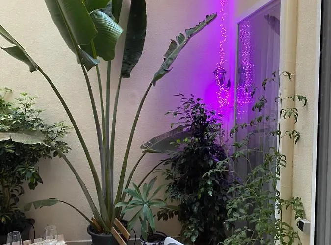 Jardin De San Fernando Alicante